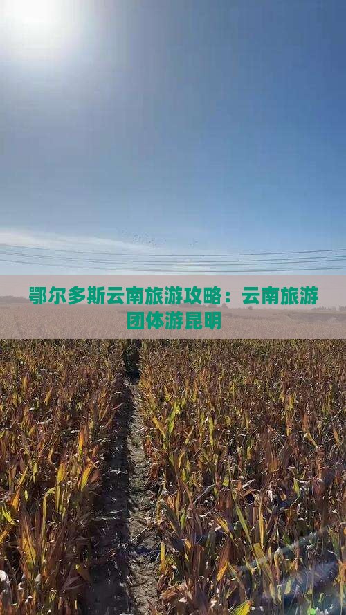 鄂尔多斯去云南昆明团体旅游