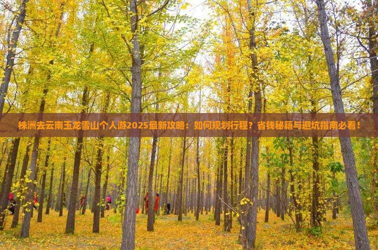 株洲去云南玉龙雪山个人游