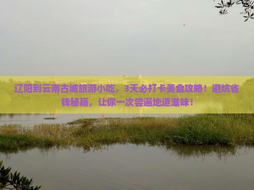 辽阳到云南古城旅游小吃