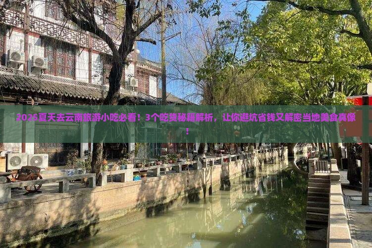 夏天去云南旅游小吃