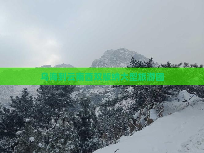 乌海到云南西双版纳大型旅游团
