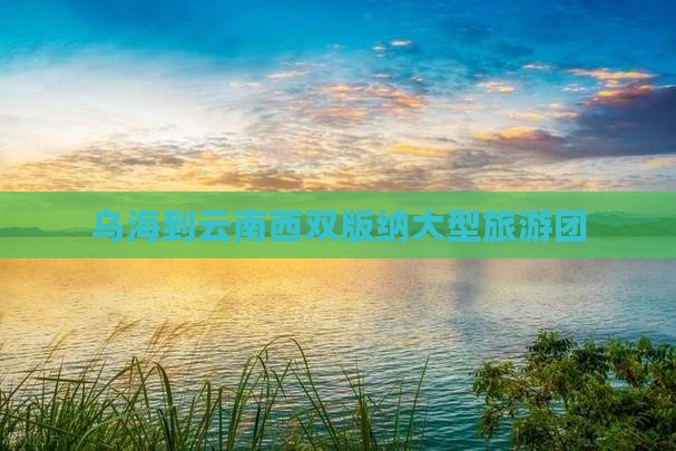 乌海到云南西双版纳大型旅游团