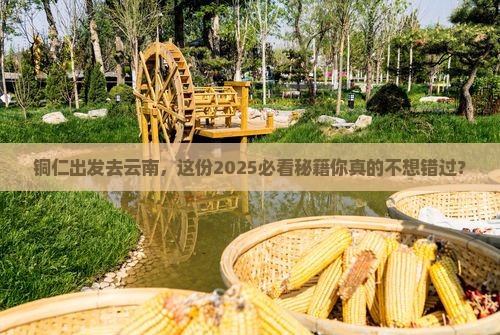 铜仁到云南必去地