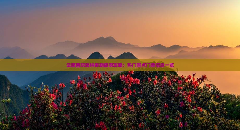 云南西双版纳泰勒旅游攻略：热门景点门票信息一览
