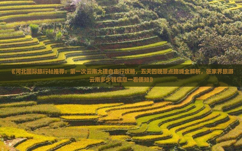 《河北国际旅行社推荐：第一次云南大理自由行攻略，五天四晚景点路线全解析，张家界旅游云南多少钱信息一看便知》