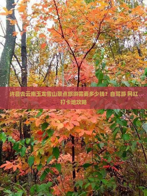 许昌去云南玉龙雪山景点旅游需要多少钱？自驾游+网红打卡地攻略