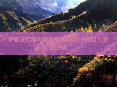 伊春去云南大理四日游攻略及费用自驾路线详述