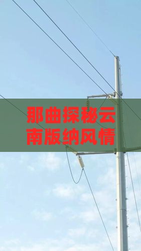 那曲探秘云南版纳风情团体旅游盛宴