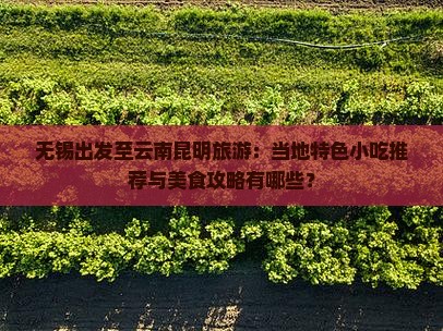无锡出发至云南昆明旅游：当地特色小吃推荐与美食攻略有哪些？