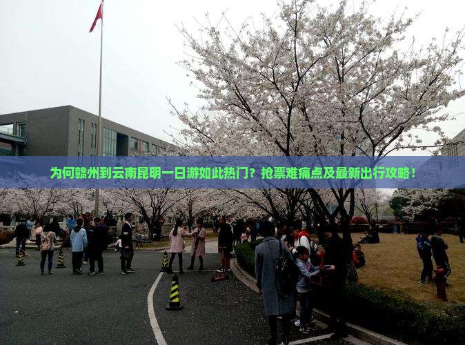 为何赣州到云南昆明一日游如此热门？抢票难痛点及最新出行攻略！
