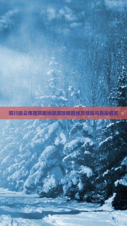 铜川去云南西双版纳旅游攻略路线及预算与距离概览