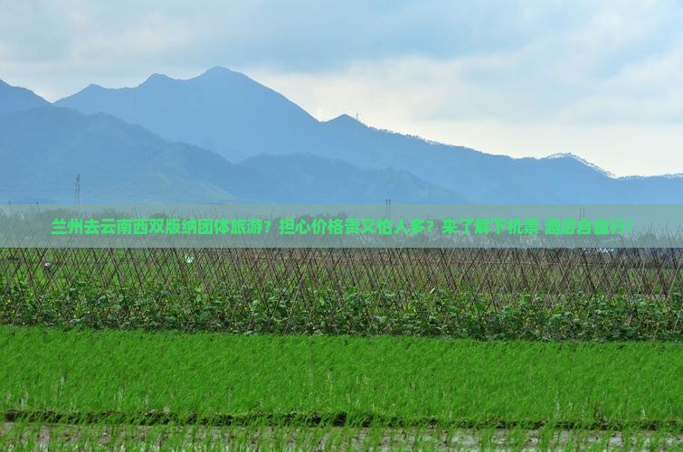兰州去云南西双版纳团体旅游？担心价格贵又怕人多？来了解下机票+酒店自由行！