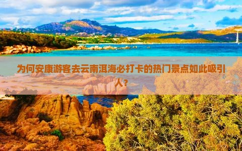 为何安康游客去云南洱海必打卡的热门景点如此吸引人？
