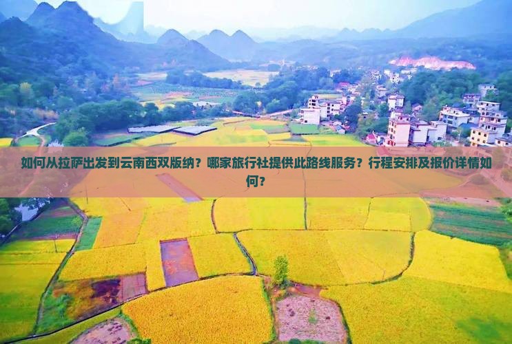 如何从拉萨出发到云南西双版纳？哪家旅行社提供此路线服务？行程安排及报价详情如何？