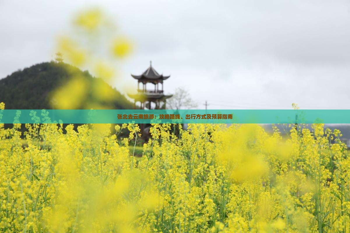 张北去云南旅游：攻略路线、出行方式及预算指南