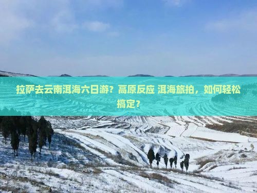 拉萨去云南洱海六日游？高原反应+洱海旅拍，如何轻松搞定？