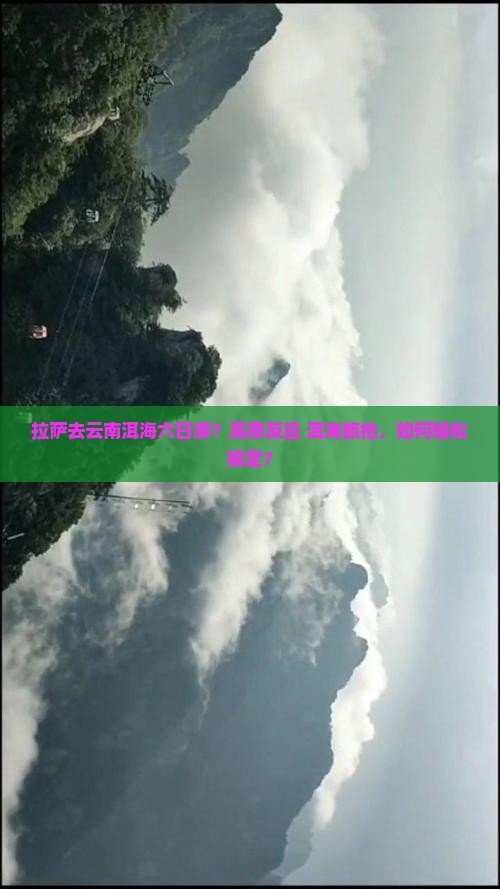拉萨去云南洱海六日游？高原反应+洱海旅拍，如何轻松搞定？