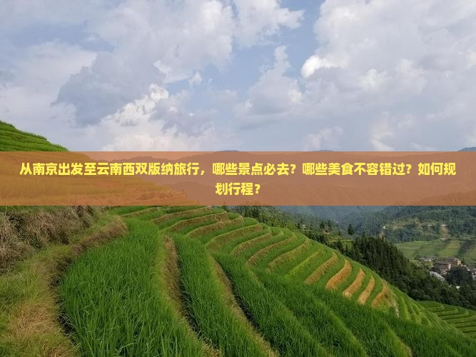 从南京出发至云南西双版纳旅行，哪些景点必去？哪些美食不容错过？如何规划行程？