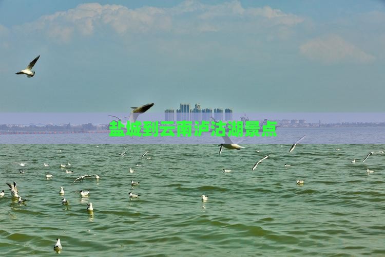 盐城到云南泸沽湖景点