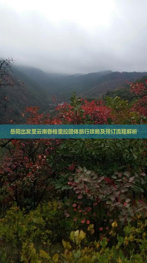 岳阳出发至云南香格里拉团体旅行攻略及预订流程解析