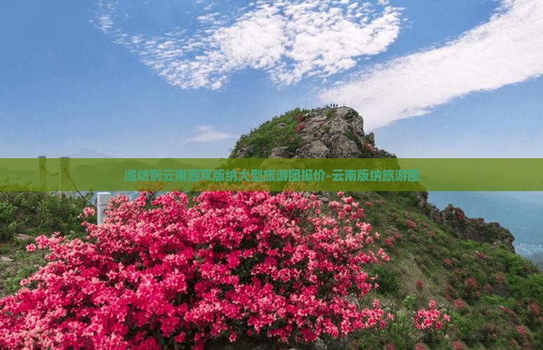 潍坊到云南西双版纳大型旅游团报价-云南版纳旅游团