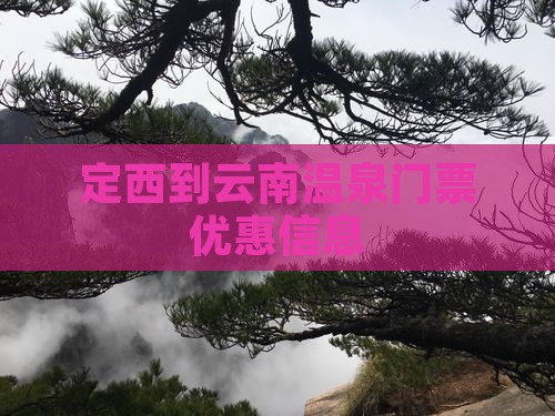 定西到云南温泉门票优惠信息