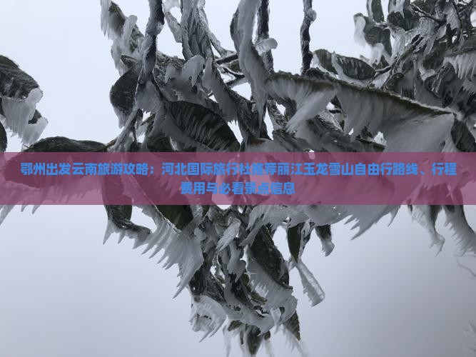 鄂州出发云南旅游攻略：河北国际旅行社推荐丽江玉龙雪山自由行路线、行程费用与必看景点信息