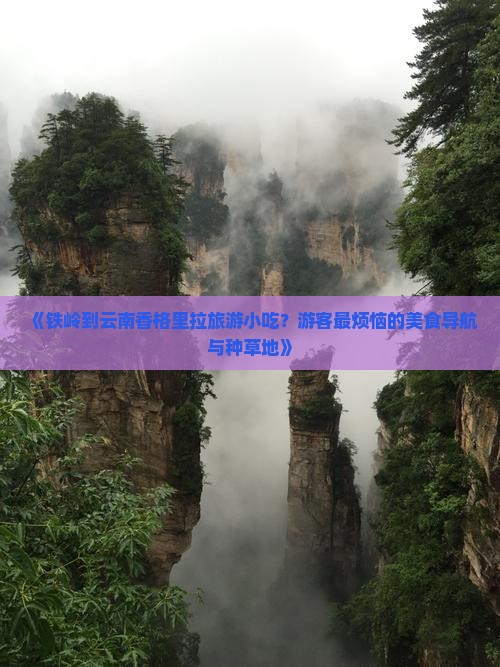 《铁岭到云南香格里拉旅游小吃？游客最烦恼的美食导航与种草地》