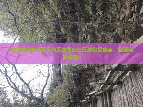 如何避免泰安至云南玉龙雪山三日游常见痛点，实现完美旅程？