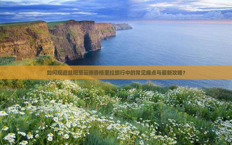 如何规避益阳至云南香格里拉旅行中的常见痛点与最新攻略？