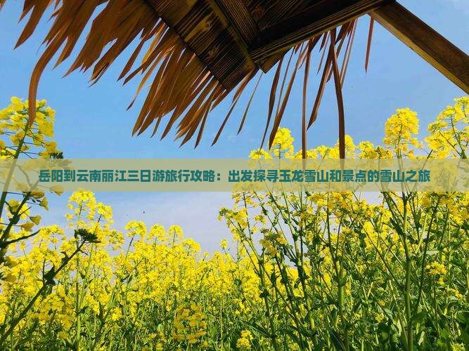 岳阳到云南丽江三日游旅行攻略：出发探寻玉龙雪山和景点的雪山之旅