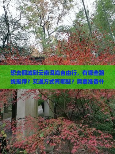 想去桐城到云南洱海自由行，有哪些路线推荐？交通方式有哪些？需要准备什么？