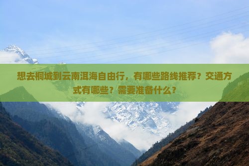 想去桐城到云南洱海自由行，有哪些路线推荐？交通方式有哪些？需要准备什么？