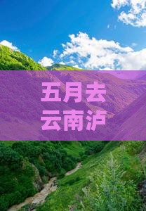 五月去云南泸沽湖个人游：游览路线推荐