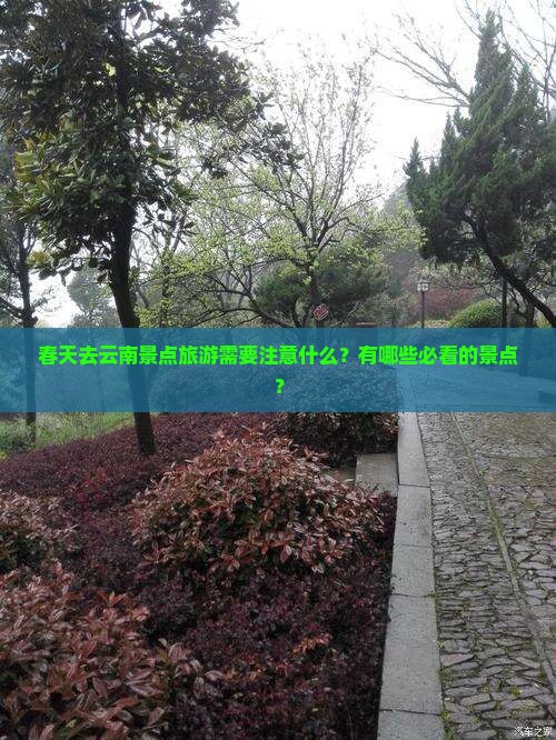 春天去云南景点旅游需要注意什么？有哪些必看的景点？