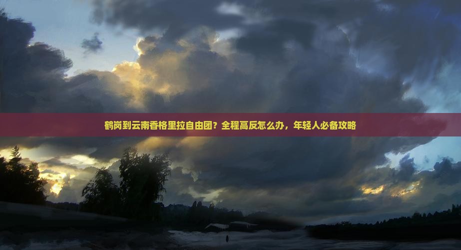 鹤岗到云南香格里拉自由团？全程高反怎么办，年轻人必备攻略