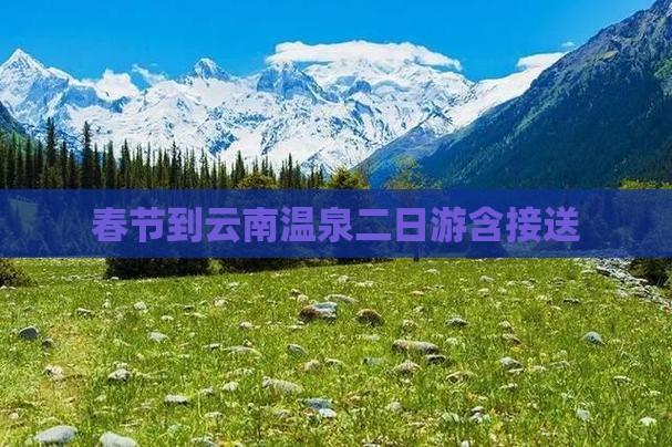 春节到云南温泉二日游含接送