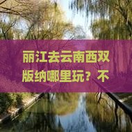 丽江去云南西双版纳哪里玩？不懂这些网红打卡地真要后悔