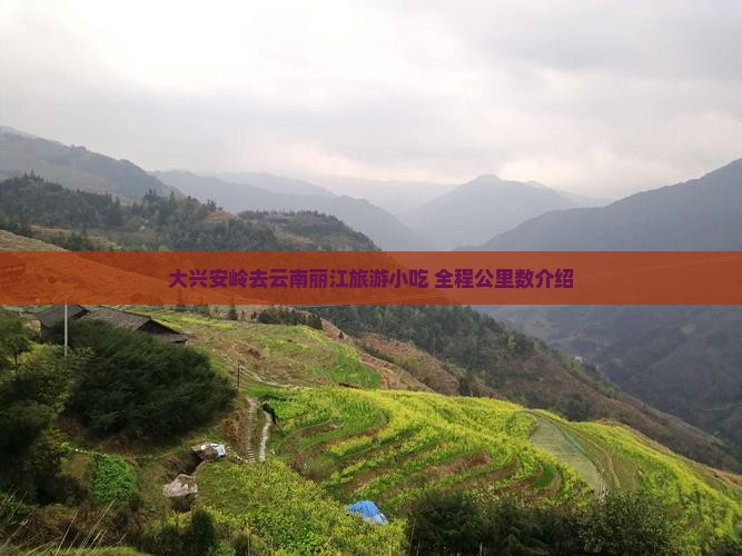 大兴安岭去云南丽江旅游小吃 全程公里数介绍