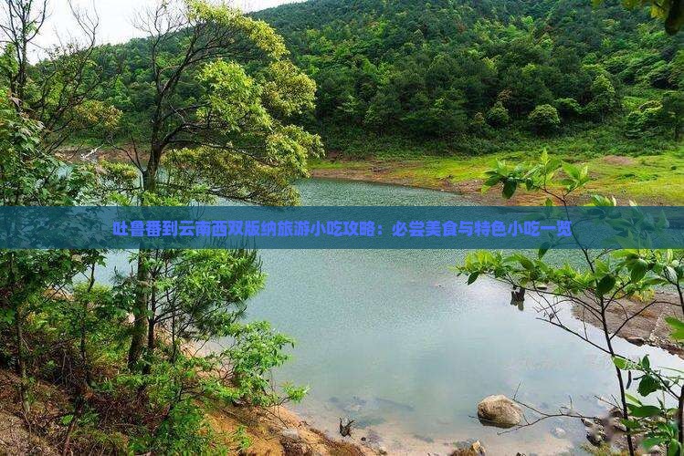 吐鲁番到云南西双版纳旅游小吃攻略：必尝美食与特色小吃一览