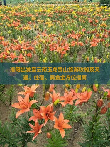 洛阳出发至云南玉龙雪山旅游攻略及交通、住宿、美食全方位指南