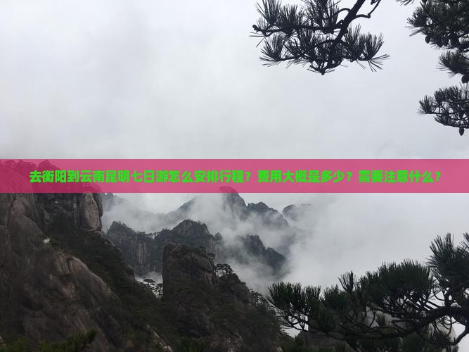 去衡阳到云南昆明七日游怎么安排行程？费用大概是多少？需要注意什么？