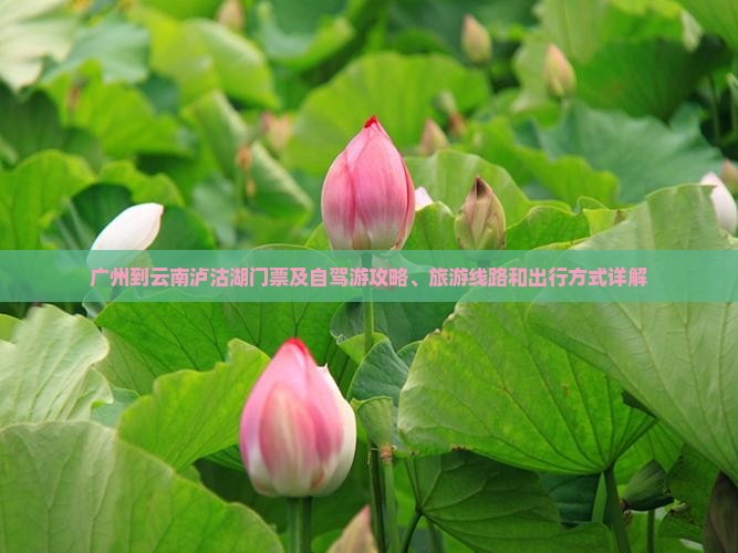 广州到云南泸沽湖门票及自驾游攻略、旅游线路和出行方式详解