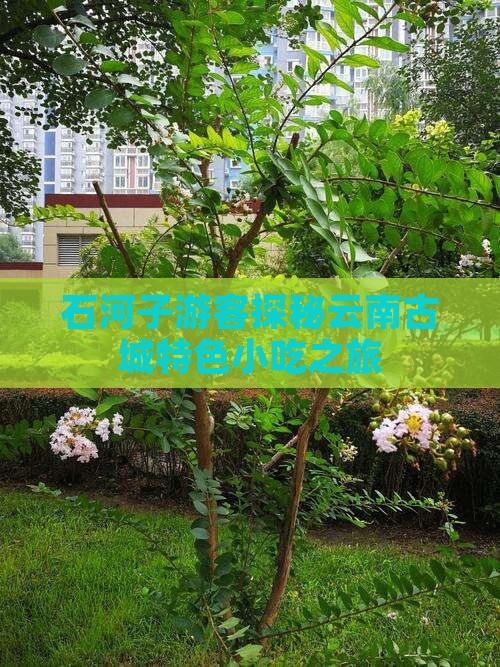 石河子游客探秘云南古城特色小吃之旅