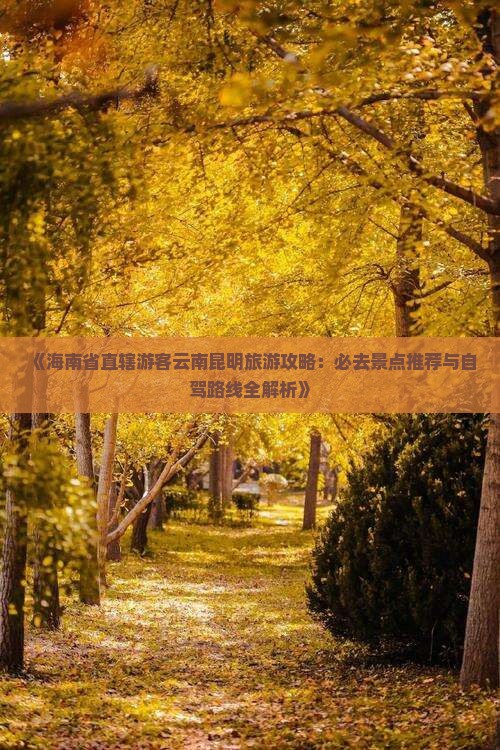 《海南省直辖游客云南昆明旅游攻略：必去景点推荐与自驾路线全解析》