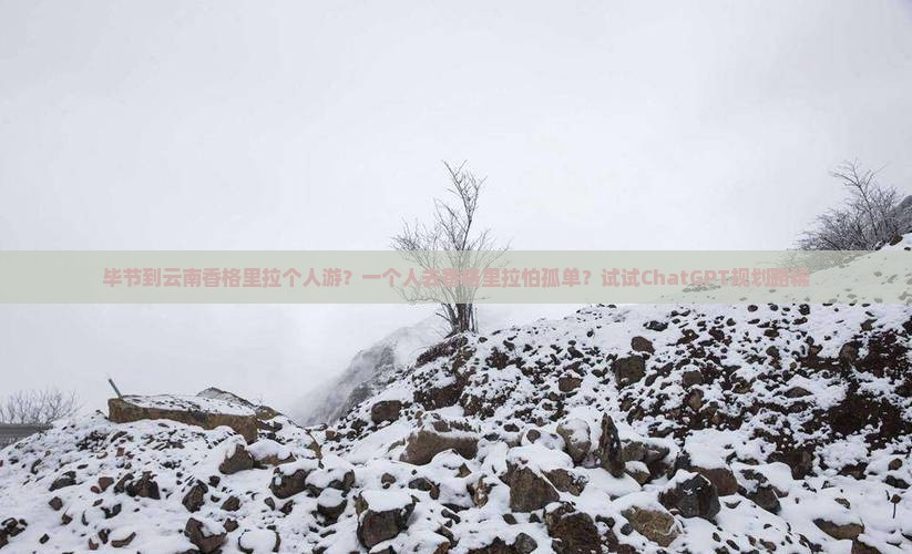 毕节到云南香格里拉个人游？一个人去香格里拉怕孤单？试试ChatGPT规划路稀