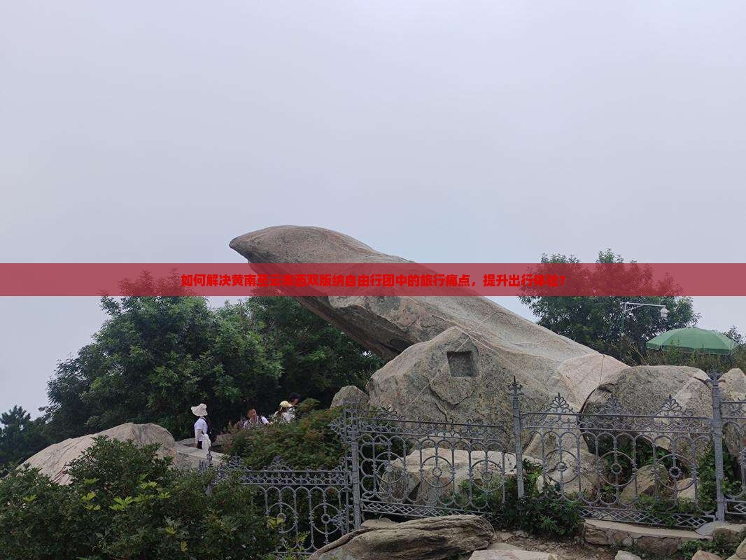 如何解决黄南至云南西双版纳自由行团中的旅行痛点，提升出行体验？