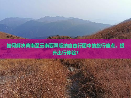 如何解决黄南至云南西双版纳自由行团中的旅行痛点，提升出行体验？