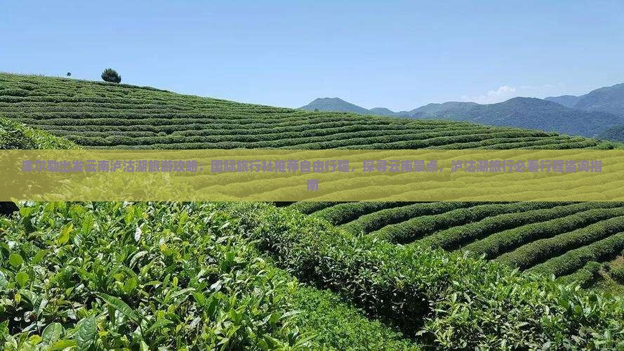 库尔勒出发云南泸沽湖旅游攻略：国际旅行社推荐自由行程，探寻云南景点，泸沽湖旅行必看行程咨询指南