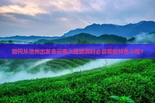 如何从沧州出发去云南大理旅游时必尝哪些特色小吃？